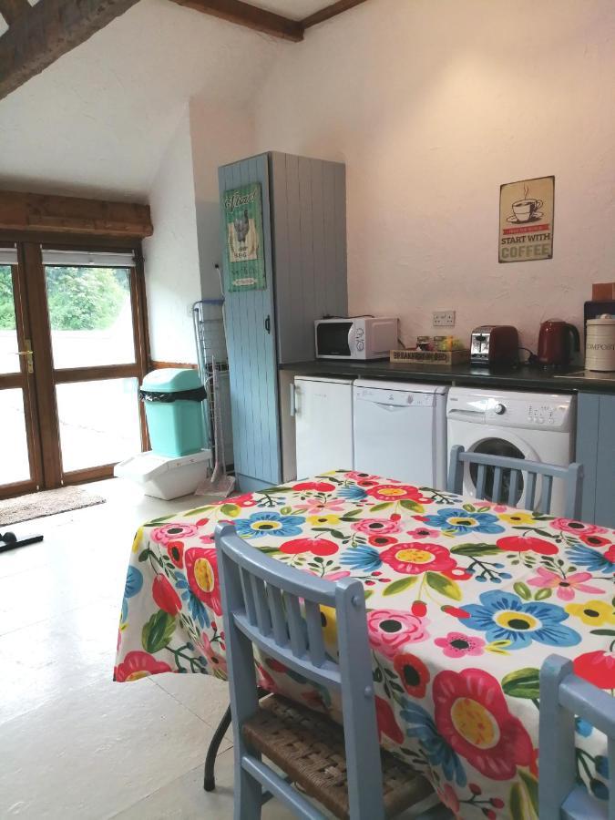 Killarney Saoirse Cottage 外观 照片