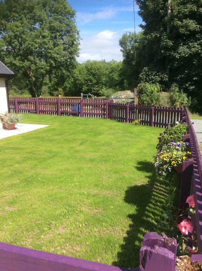 Killarney Saoirse Cottage 外观 照片