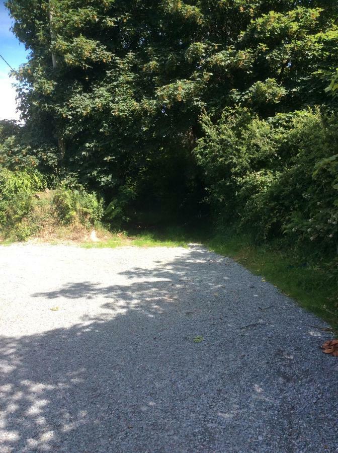 Killarney Saoirse Cottage 外观 照片