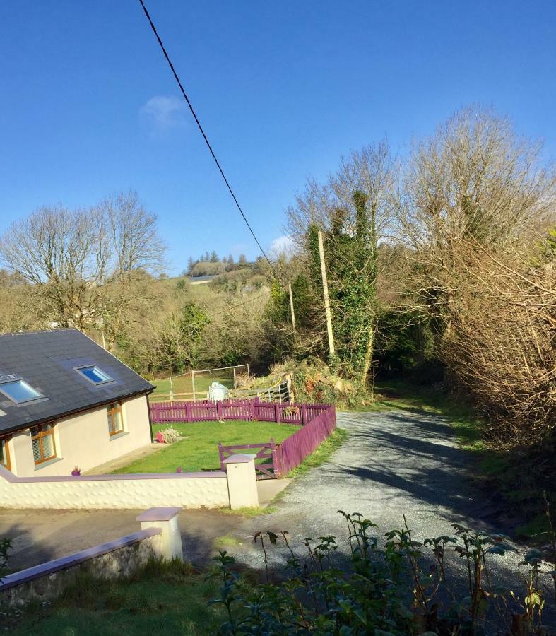 Killarney Saoirse Cottage 外观 照片